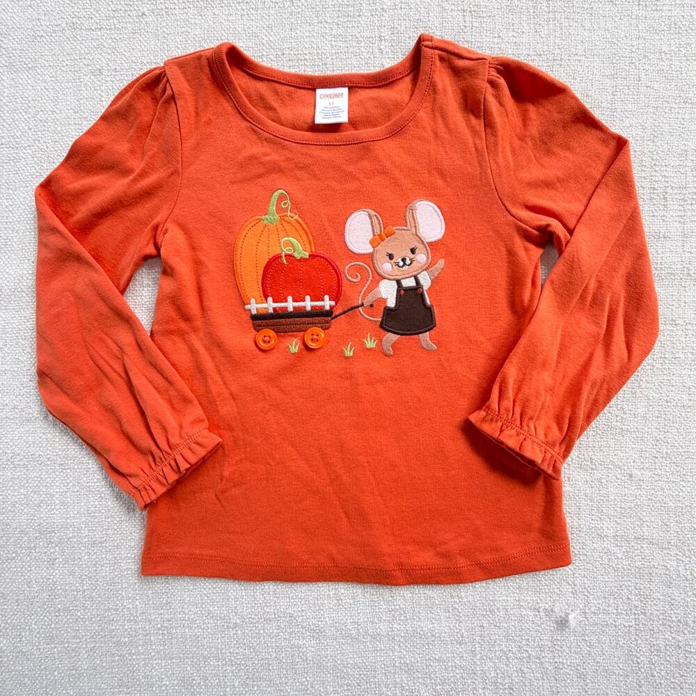 Gymboree Orange Fall Mouse & Pumpkins Applique Tee EUC 5T